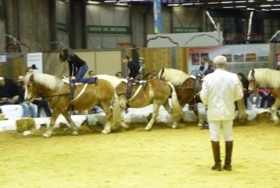 L'académie au Salon du cheval